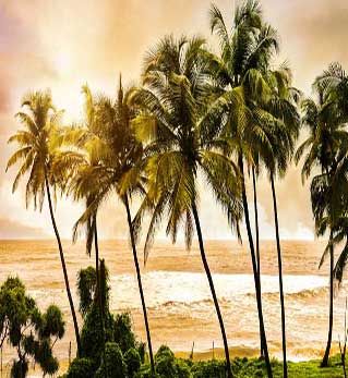 goa Holidays