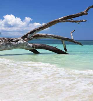 andaman tour packages